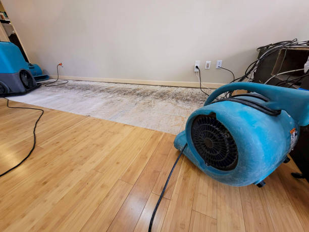 Professional Structural Drying technician working in East Troy, WI